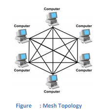 2137_Mesh topology.png